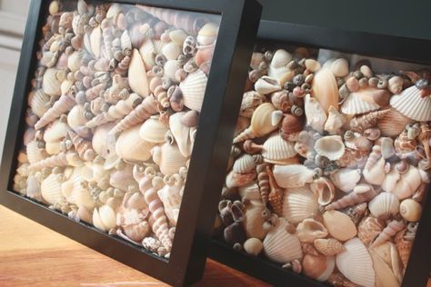 Coastal Charm Wall Art