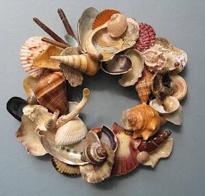 Sea shells gift