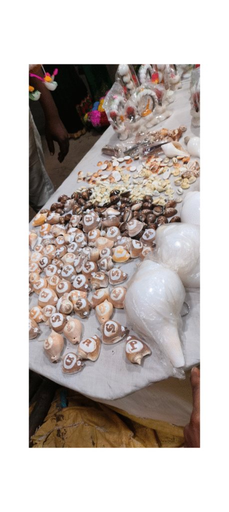 Elegant Beach-Inspired Seashell Décor Ideas