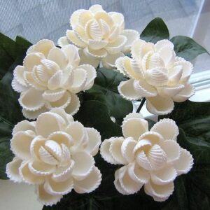 Seaside Memories Gift Box